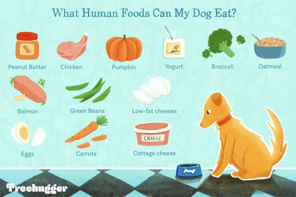 What Human Foods Can French Bulldogs Eat Safely? What Human Foods Can French Bulldogs Eat Safely?