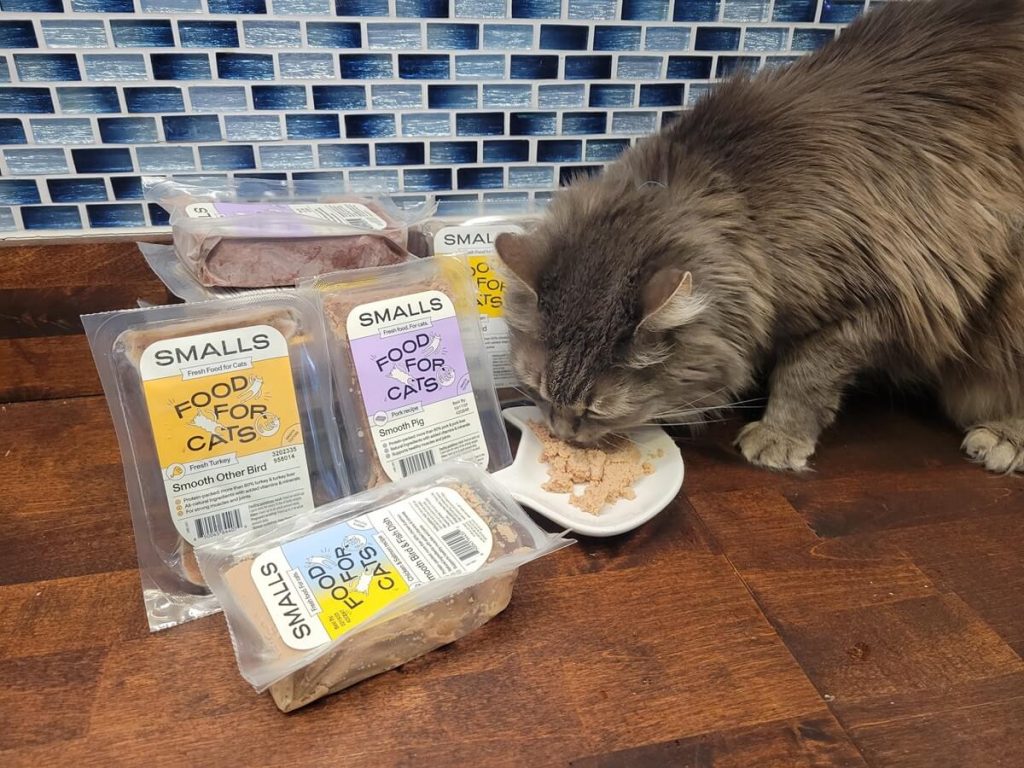 Best Human-Grade Cat Foods for Feline Health & Flavor Best Human-Grade Cat Foods for Feline Health & Flavor