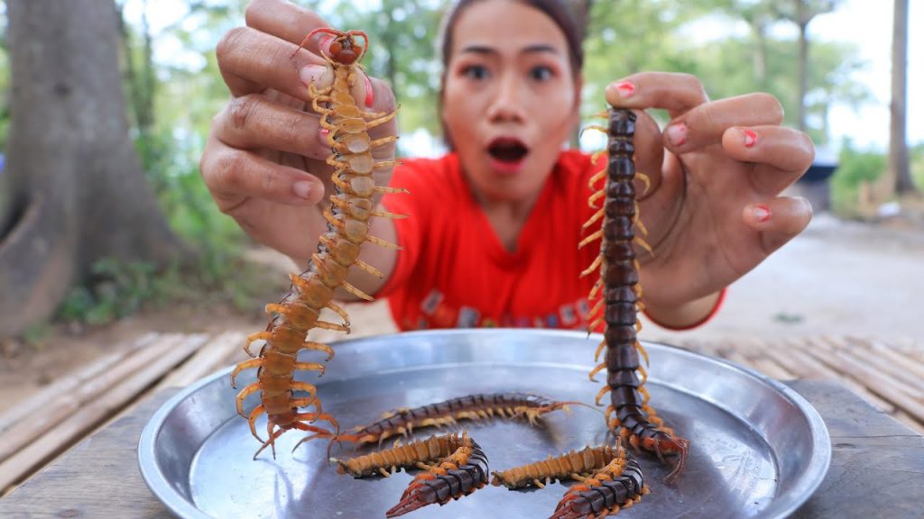 Do Centipedes Eat Human Food? A Guide to Their Dietary Habits Do Centipedes Eat Human Food? A Guide to Their Dietary Habits
